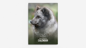Wildwood Devon Calendar 2026 Rectangle
