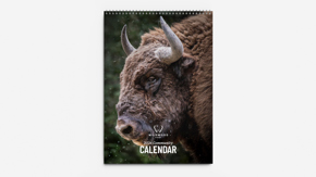 Wildwood Kent Calendar 2026 Rectangle