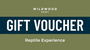 Kent Reptile Experience (1)
