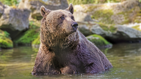 1. Summer Evening (Kent)