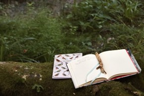 Nature Writing Workshop Credit Jazz Woollard