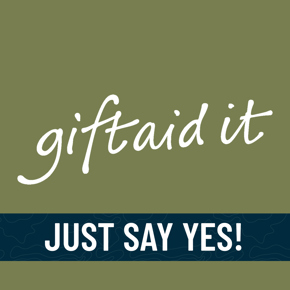 4. Ticket Carousel (1)