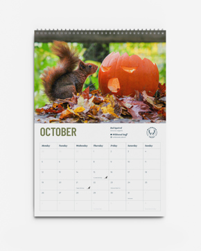 2. Wildwood Calendar 2026 (Devon)