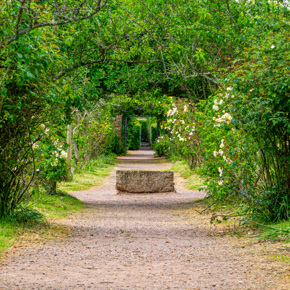 Devon Park Dave Ireland