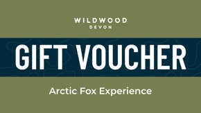Devon Arctic Fox Experience