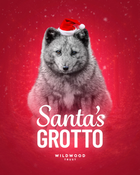 Christmas Grotto 2026 Trust