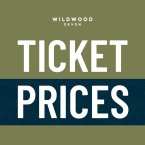 Devon1. Ticket Carousel