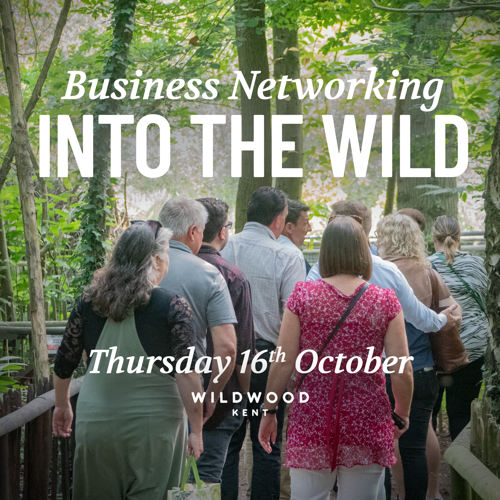 Into the Wild Corporate Event