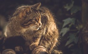 12747346 10207515514060463 8433545043024542705 O