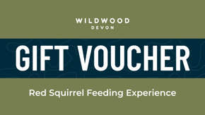 Devon Red Squirrel Experience