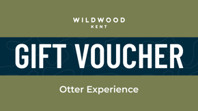 Kent Otter Experience (1)